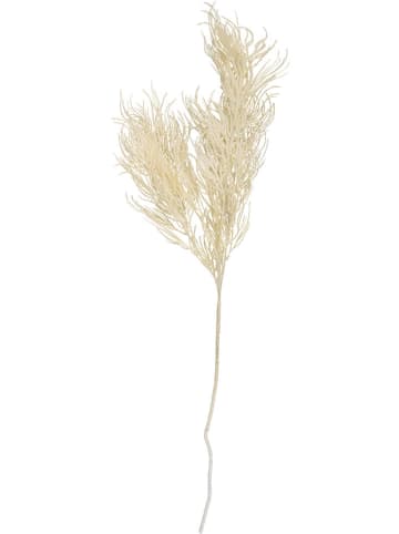 Present Time Sztuczna roślina "Asparagus" w kolorze kremowym - 25,4 x 86,4 cm