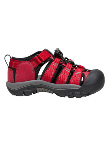 Keen Wandersandalen "Newport H2" in Rot