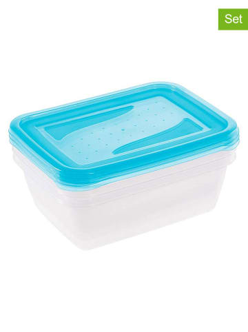 Joybos 3er-Set: Lunchboxen in Hellblau - 1,25 l