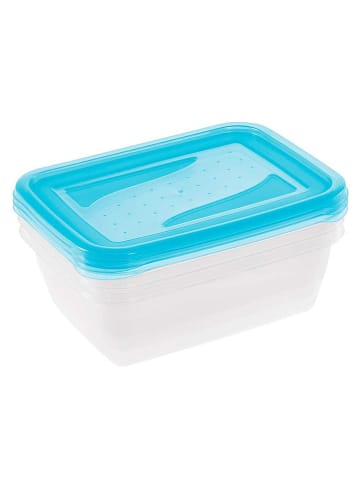 Joybos Pojemniki (3 szt.) w kolorze błękitnym na lunch - 1,25 l