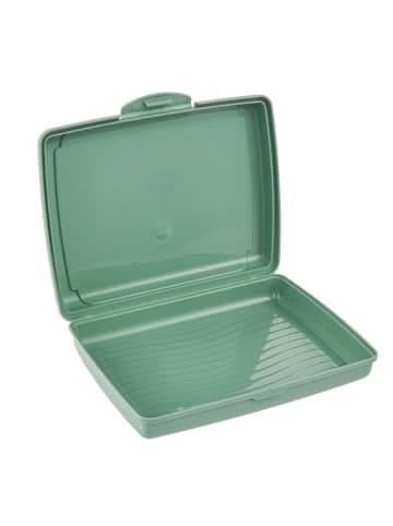 keeeper 2er-Set: Lunchboxen "Luca" in Grün - 500 ml