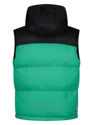 Vingino Bodywarmer groen/zwart