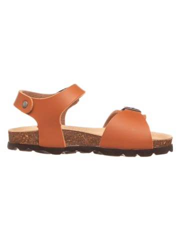 Little Sky Sandalen in Camel