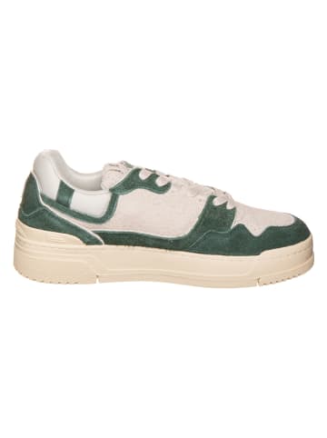AUTRY Skórzane sneakersy "CLC Low" w kolorze kremowo-zielonym