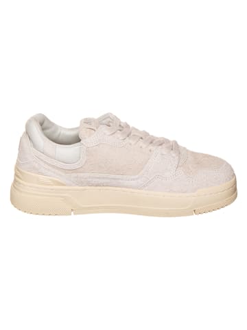AUTRY Leder-Sneakers "CLC Low" in Creme