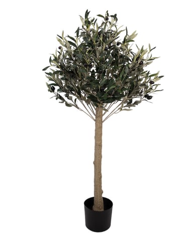 Clayre & Eef Drzewko dekoracyjne w kolorze zielono-brązowym - 45 x 120 x 45 cm