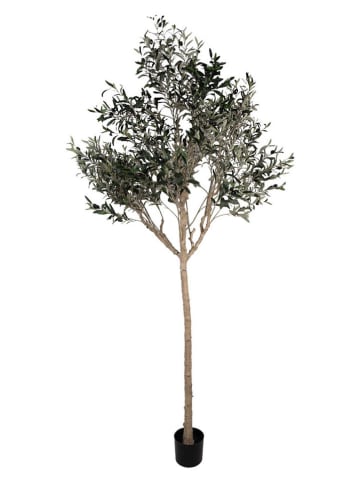 Clayre & Eef Decoboom groen/beige - (B)120 x (H)240 x (D)80 cm