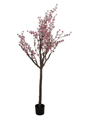 Clayre & Eef Drzewko dekoracyjne w kolorze jasnoróżowo-brązowym - 45 x 185 x 45 cm