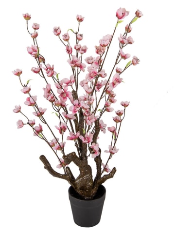 Clayre & Eef Dekobaum in Rosa/ Braun - (B)18 x (H)70 x (T)18 cm