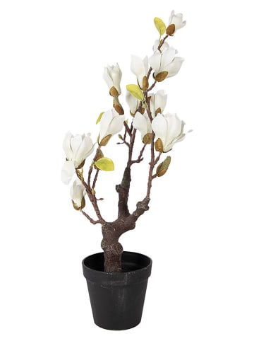 Clayre & Eef Decoboom wit/groen - (B)16 x (H)60 x (D)14 cm