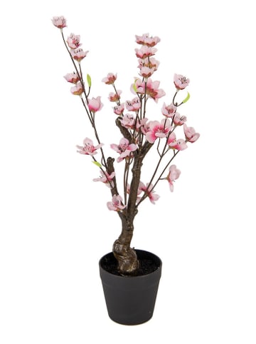 Clayre & Eef Decoboom lichtroze/bruin - (B)10 x (H)48 x (D)10 cm