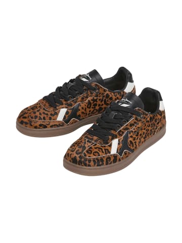 Pepe Jeans FOOTWEAR Leder-Sneakers "Ball" in Schwarz/ Braun