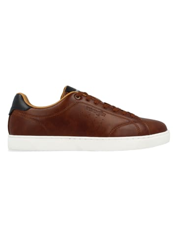 Wrangler Sneakers bruin