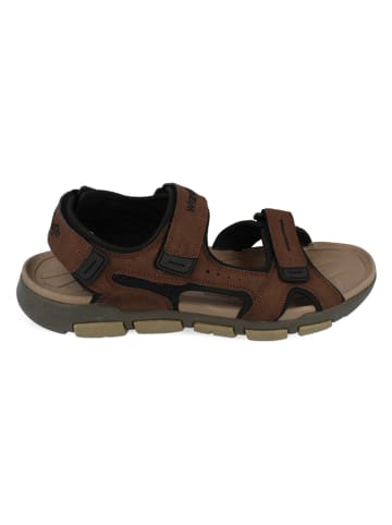 Wrangler Sandalen in Braun