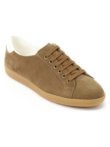British Passport Leren sneakers lichtbruin
