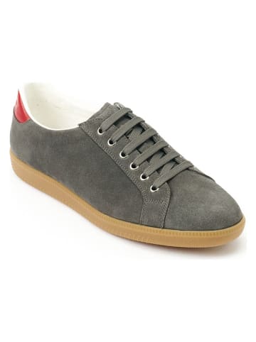 British Passport Leren sneakers grijs