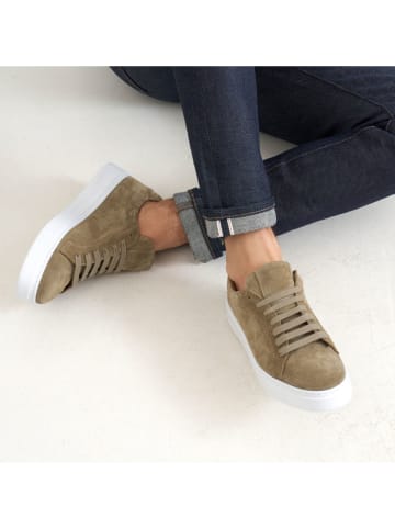British Passport Leren sneakers kaki