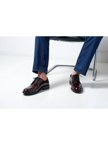 British Passport Leren veterschoenen bordeaux