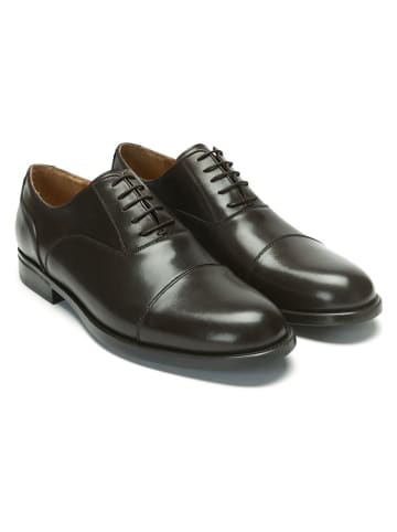 British Passport Leren veterschoenen bruin