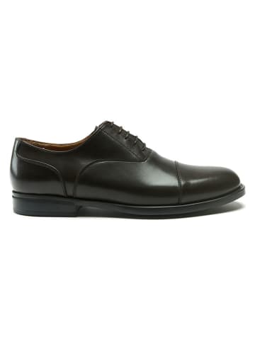 British Passport Leren veterschoenen bruin
