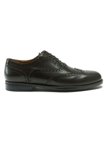 British Passport Leren veterschoenen bruin