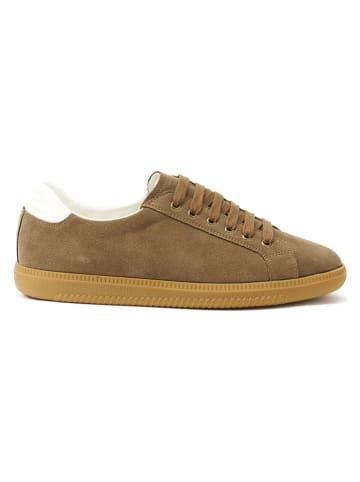 British Passport Leren sneakers lichtbruin
