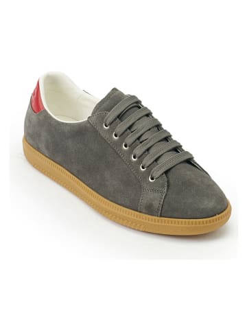 British Passport Leder-Sneakers in Grau