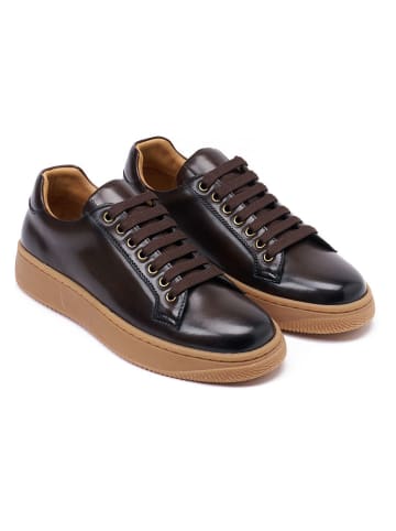 British Passport Leder-Sneakers in Braun
