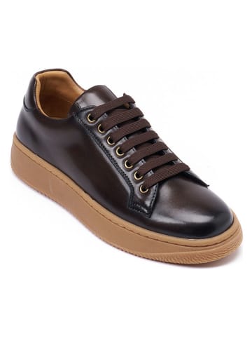 British Passport Leren sneakers bruin