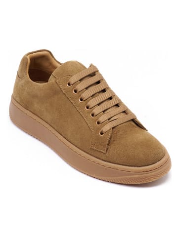 British Passport Leren sneakers lichtbruin