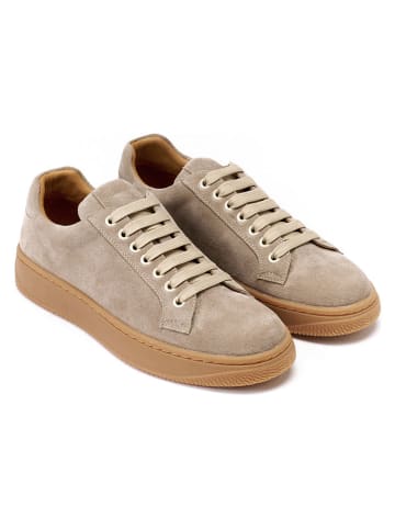British Passport Leren sneakers taupe