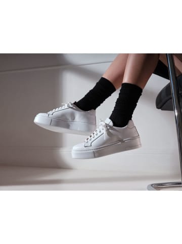 British Passport Leren sneakers wit
