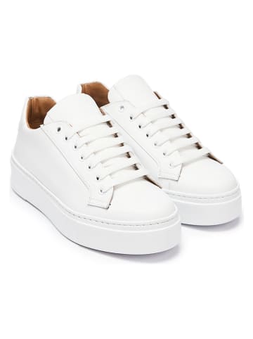 British Passport Leren sneakers wit