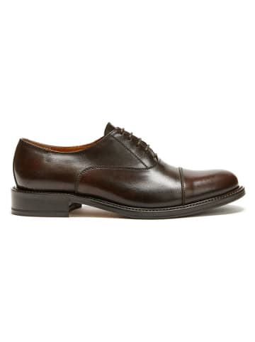 British Passport Leder-Schnürschuhe in Braun
