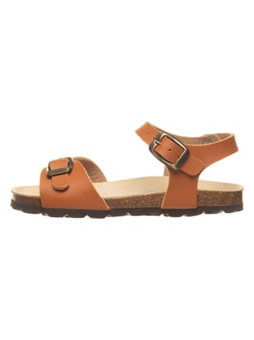 BIO PINGÜIN Sandalen lichtbruin