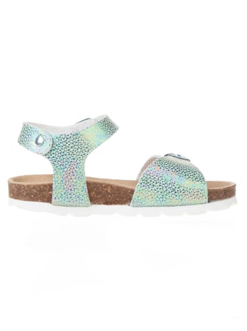 BIO PINGÜIN Sandalen in Grün
