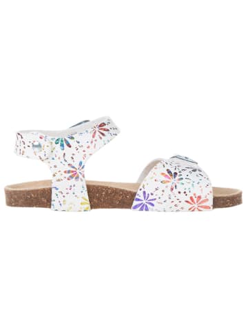 BIO PINGÜIN Sandalen wit/meerkleurig