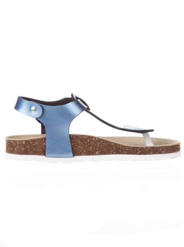 BIO PINGÜIN Japonki w kolorze niebieskim