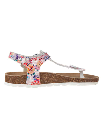 BIO PINGÜIN Teenslippers lichtroze/meerkleurig