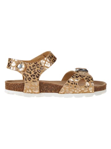 BIO PINGÜIN Sandalen goudkleurig