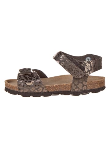 BIO PINGÜIN Sandalen in Braun