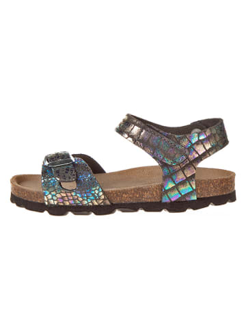 BIO PINGÜIN Sandalen antraciet/meerkleurig