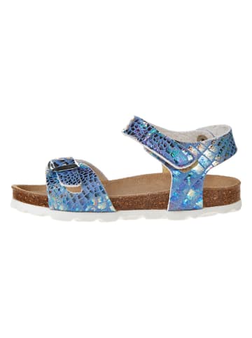 BIO PINGÜIN Sandalen blauw/zilverkleurig