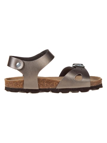 BIO PINGÜIN Sandalen antraciet