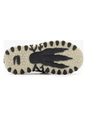 Bull Boys Halbsandalen "Pterodattilo" in Anthrazit/ Grün