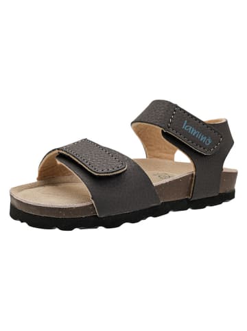 lamino Sandalen in Braun
