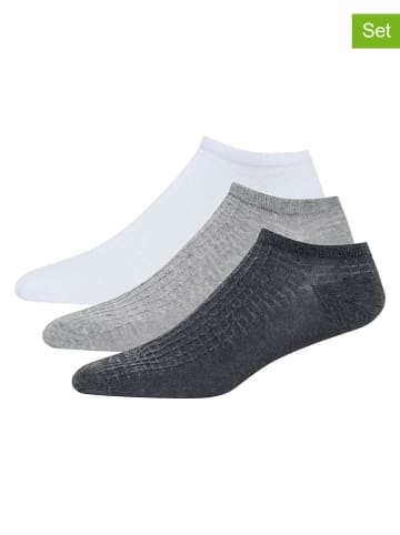 DKNY 3er-Set: Socken in Weiß/ Grau/ Schwarz