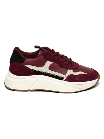 Steve Madden Sneakers rood