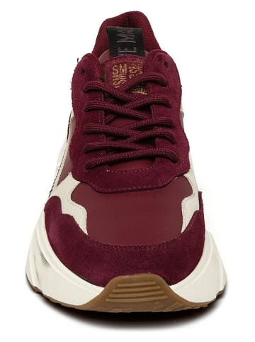 Steve Madden Sneakers rood