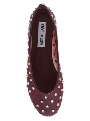 Steve Madden Ballerinas in Lila